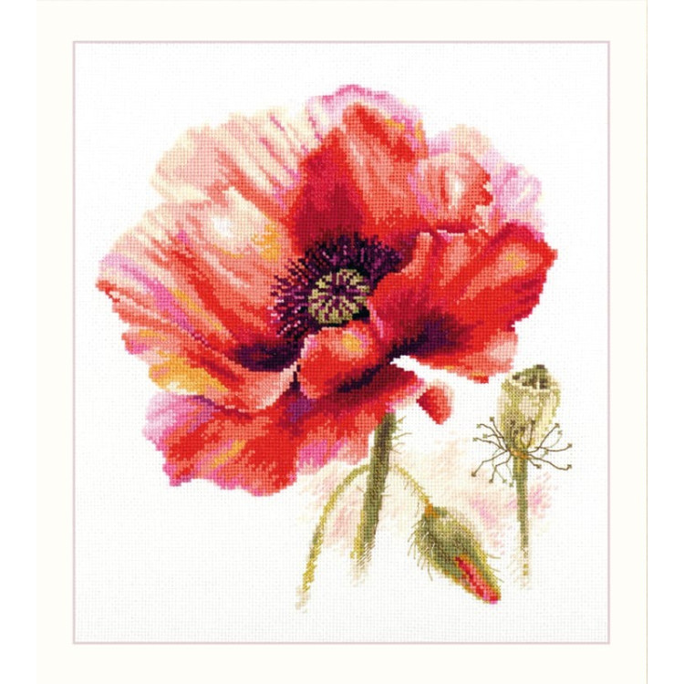 (image for) Bright Red Poppy